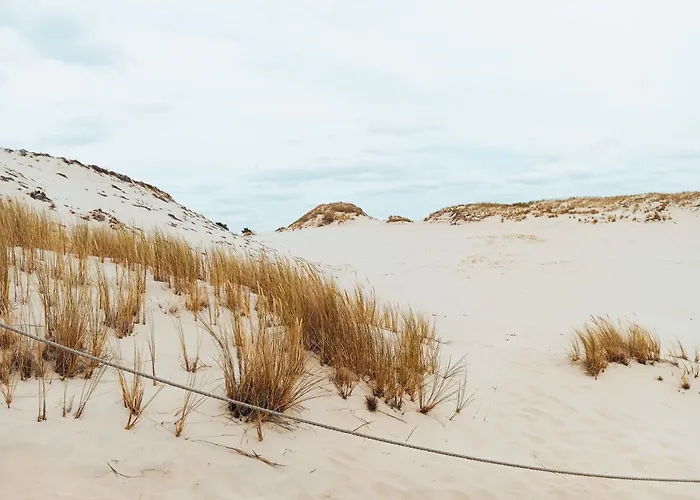 Rowerowa Przystań * Smoldzinski Las